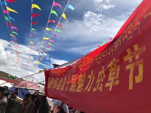 那曲魅力蟲草節