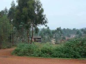 大紅塘村 大紅塘村