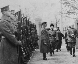 安國軍政府 安國軍政府