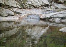 南陽桐柏山景區風景