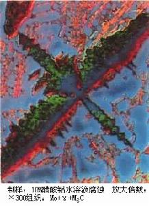 光學金相顯微術