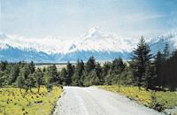 庫克山公園 庫克山公園