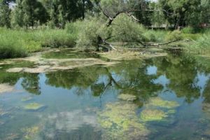 拒馬源國家城市濕地公園 拒馬源國家城市濕地公園