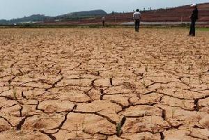 抗旱雙保 抗旱雙保