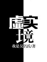 虛實境 虛實境