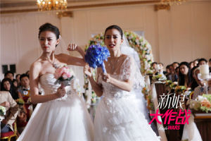 新娘大作戰[2009年加里·溫尼克導演美國電影]