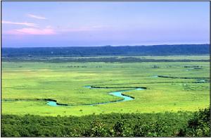 釧路濕地 釧路濕地