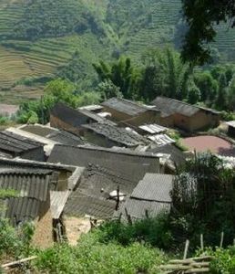 中坎社村 中坎社村