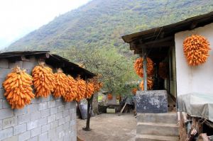 灣壩彝族鄉 灣壩彝族鄉