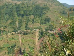 麻園自然村[牛街鎮南廠村下轄自然村]