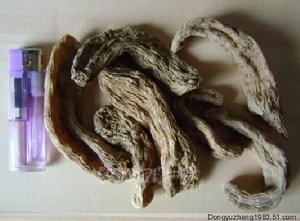 天麻食療菜譜 天麻食療菜譜