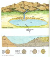 影響發生沉積作用的主要場所，稱為沉積盆地