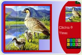 野鴨子拼圖 野鴨子拼圖