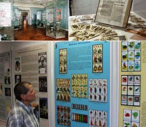 德國千年撲克鎮人人是高手