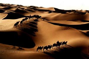 安南壩野駱駝自然保護區