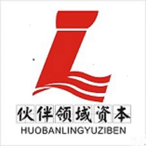 陝西夥伴領域信息服務有限公司 陝西夥伴領域信息服務有限公司