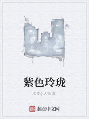 紫色玲瓏 紫色玲瓏