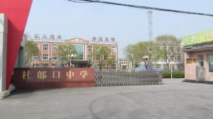 杜郎口鎮 杜郎口鎮