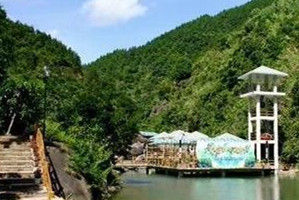 廈門金光湖原始森林