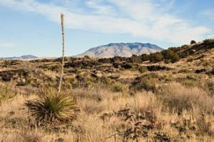 寂靜地帶 寂靜地帶