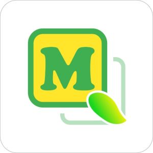 青芒盒子 青芒盒子