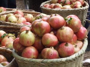 （圖）特色農產品（鹽水石榴）