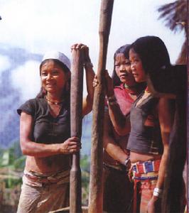 佤語屬南亞語系孟高棉語族佤德昂語支