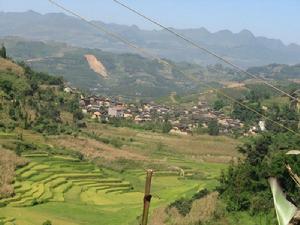 路租白村 路租白村