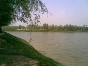 龍口南山國家森林公園