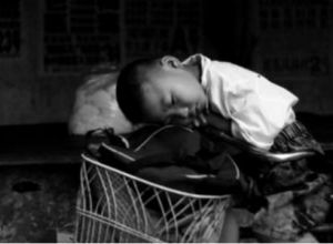 毛毛,他要找媽媽 毛毛,他要找媽媽