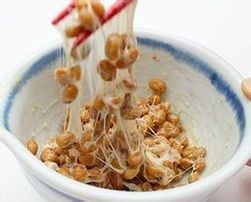 納豆激酶 納豆激酶