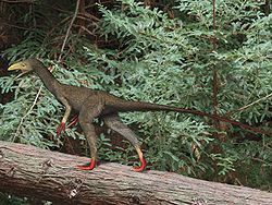 中國美羽龍 中國美羽龍