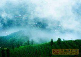 鄧村[湖北宜昌市夷陵區鄧村鄉]