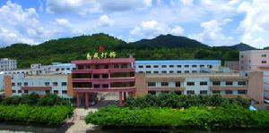 中山市易成燈飾電器有限公司