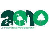 國際生物多樣性年