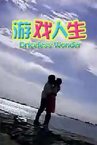 遊戲人生[新加坡2010年唐育書主演電視劇]