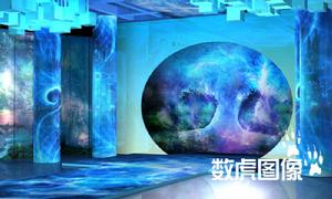 雀之戀[著名舞蹈家楊麗萍夢幻演繹的舞蹈]