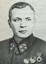 年輕的諾維科夫