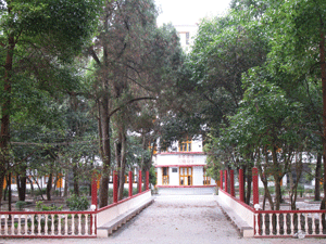 朱昌鎮[朱昌鎮]