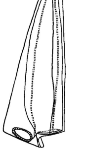異板淺室水母 異板淺室水母
