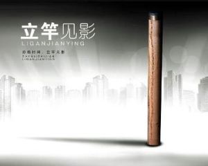 立竿見影 立竿見影