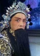 名將之後[2016年李金林執導、李世宏主演的電影]