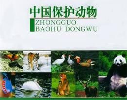 中國國家二級重點保護野生動物