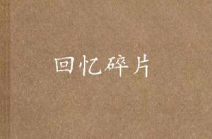 回憶碎片 回憶碎片