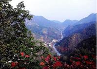 何家岩鎮 何家岩鎮