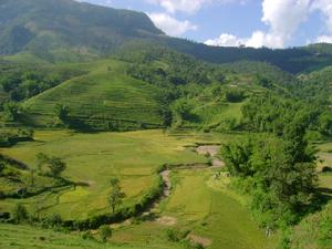 （圖）土地資源 