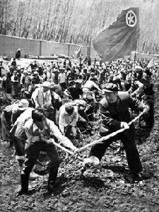 譚冠三紀念園 譚冠三紀念園