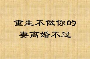 重生不做你的妻離婚不過 重生不做你的妻離婚不過