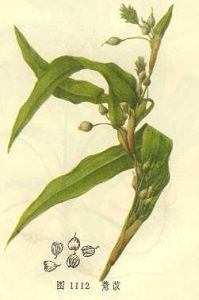 《叢桂草堂醫案》