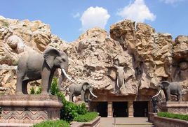 比勒陀利亞動物園 比勒陀利亞動物園